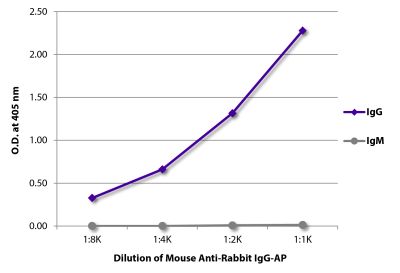 ELISA plate was coated with purified rabbit IgG and IgM. Immunoglobulins were detected with serially diluted Mouse Anti-Rabbit IgG-AP (SB Cat. No. 4090-04).