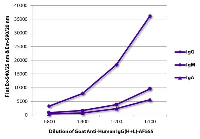 FLISA plate was coated with purified human IgG, IgM, and IgA. Immunoglobulins were detected with serially diluted Goat Anti-Human IgG(H+L)-AF555 (SB Cat. No. 2015-32).