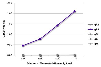ELISA plate was coated with purified human IgA<sub>1</sub>, IgA<sub>2</sub>, IgD, IgG, and IgM. Immunoglobulins were detected with serially diluted Mouse Anti-Human IgA<sub>2</sub>-AP (SB Cat. No. 9140-04).