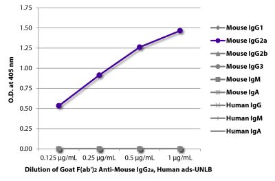 ELISA plate was coated with purified mouse IgG<sub>1</sub>, IgG<sub>2a</sub>, IgG<sub>2b</sub>, IgG<sub>3</sub>, IgM, and IgA and human IgG, IgM, and IgA. Immunoglobulins were detected with serially diluted Goat F(ab')<sub>2</sub> Anti-Mouse IgG<sub>2a</sub>, Human ads-UNLB (SB Cat. No. 1082-01) followed by a Mouse Anti-Goat IgG(H+L) secondary antibody conjugated to HRP.