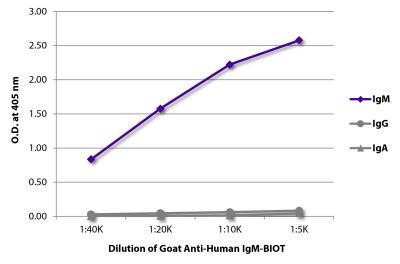 ELISA plate was coated with purified human IgM, IgG, and IgA. Immunoglobulins were detected with serially diluted Goat Anti-Human IgM-BIOT (SB Cat. No. 2020-08) followed by Streptavidin-HRP (SB Cat. No. 7100-05).