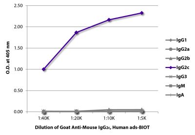 ELISA plate was coated with purified mouse IgG<sub>1</sub>, IgG<sub>2a</sub>, IgG<sub>2b</sub>, IgG<sub>2c</sub>, IgG<sub>3</sub>, IgM, and IgA. Immunoglobulins were detected with serially diluted Goat Anti-Mouse IgG<sub>2c</sub>, Human ads-BIOT (SB Cat. No. 1079-08) followed by Streptavidin-HRP (SB Cat. No. 7100-05).