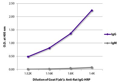 ELISA plate was coated with purified rat IgG and IgM. Immunoglobulins were detected with serially diluted Goat F(ab')<sub>2</sub> Anti-Rat IgG-HRP (SB Cat. No. 3032-05).