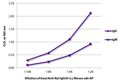 ELISA plate was coated with purified rat IgG and IgM. Immunoglobulins were detected with serially diluted Goat Anti-Rat IgG(H+L), Mouse ads-AP (SB Cat. No. 3050-04).