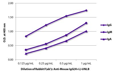 ELISA plate was coated with purified mouse IgG, IgM, and IgA. Immunoglobulins were detected with serially diluted Rabbit F(ab')<sub>2</sub> Anti-Mouse IgG(H+L)-UNLB (SB Cat. No. 6120-01) followed by Goat Anti-Rabbit IgG(H+L), Mouse/Human ads-HRP (SB Cat. No. 4050-05).