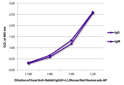 ELISA plate was coated with purified rabbit IgG and IgM. Immunoglobulins were detected with serially diluted Goat Anti-Rabbit IgG(H+L), Mouse/Rat/Human ads-AP (SB Cat. No. 4049-04).