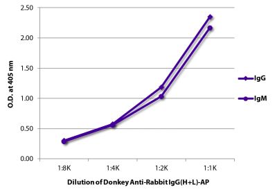 ELISA plate was coated with purified rabbit IgG and IgM. Immunoglobulins were detected with serially diluted Donkey Anti-Rabbit IgG(H+L)-AP (SB Cat. No. 6441-04).
