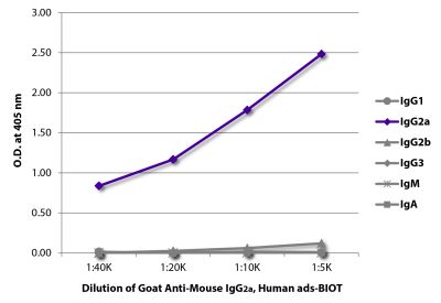 ELISA plate was coated with purified mouse IgG<sub>1</sub>, IgG<sub>2a</sub>, IgG<sub>2b</sub>, IgG<sub>3</sub>, IgM, and IgA. Immunoglobulins were detected with serially diluted Goat Anti-Mouse IgG<sub>2a</sub>, Human ads-BIOT (SB Cat. No. 1080-08) followed by Streptavidin-HRP (SB Cat. No. 7100-05).