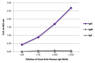 ELISA plate was coated with purified human IgG, IgM, and IgA. Immunoglobulins were detected with serially diluted Goat Anti-Human IgG-BGAL (SB Cat. No. 2040-06).