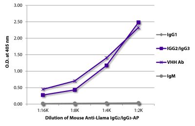 ELISA plate was coated with purified llama IgG<sub>1</sub>, IgG<sub>2</sub>/IgG<sub>3</sub>, IgM, and a VHH antibody. Immunoglobulins were detected with Mouse Anti-Llama IgG<sub>2</sub>/IgG<sub>3</sub>-AP (SB Cat. No. 5880-04).