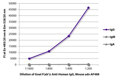 FLISA plate was coated with purified human IgG, IgM, and IgA. Immunoglobulins were detected with serially diluted Goat F(ab')<sub>2</sub> Anti-Human IgG, Mouse ads-AF488 (SB Cat. No. 2043-30).
