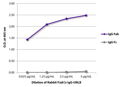 ELISA plate was coated with serially diluted Rabbit F(ab')<sub>2</sub> IgG-UNLB (SB Cat. No. 0112-01). Immunoglobulin was detected with Goat Anti-Rabbit IgG F(ab')<sub>2</sub>-BIOT and Goat Anti-Rabbit IgG Fc-BIOT (SB Cat. No. 4041-08) followed by Streptavidin-HRP (SB Cat No. 7100-05) and quantified.
