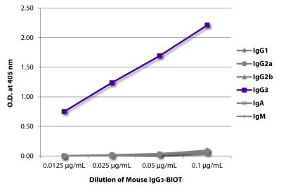 ELISA plate was coated with Goat Anti-Mouse IgG<sub>1</sub>, Human ads-UNLB (SB Cat. No. 1070-01), Goat Anti-Mouse IgG<sub>2a</sub>, Human ads-UNLB (SB Cat. No. 1080-01), Goat Anti-Mouse IgG<sub>2b</sub>, Human ads-UNLB (SB Cat. No. 1090-01), Goat Anti-Mouse IgG<sub>3</sub>, Human ads-UNLB (SB Cat. No. 1100-01), Goat Anti-Mouse IgA-UNLB (SB Cat. No. 1040-01), and Goat Anti-Mouse IgM, Human ads-UNLB (SB Cat. No. 1020-01). Serially diluted Mouse IgG<sub>3</sub>-BIOT (SB Cat. No. 0105-08) was captured followed by Streptavidin-HRP (SB Cat. No. 7100-05) and quantified.