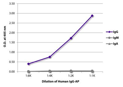 ELISA plate was coated with Goat Anti-Human IgG-UNLB (SB Cat. No. 2040-01), Goat Anti-Human IgM-UNLB (SB Cat. No. 2020-01), and Goat Anti-Human IgA-UNLB (SB Cat. No. 2050-01). Serially diluted Human IgG-AP (SB Cat. No. 0150-04) was captured and quantified.