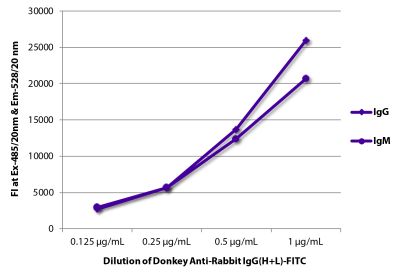 FLISA plate was coated with purified rabbit IgG and IgM. Immunoglobulins were detected with serially diluted Donkey Anti-Rabbit IgG(H+L)-FITC (SB Cat. No. 6441-02).