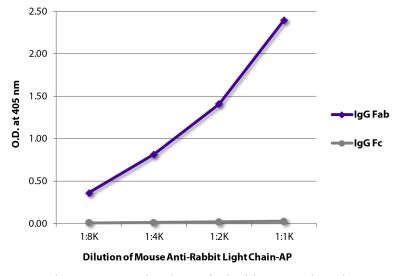 ELISA plate was coated with purified rabbit IgG Fab and IgG Fc. Immunoglobulins were detected with serially diluted Mouse Anti-Rabbit Light Chain-AP (SB Cat. No. 4060-04).