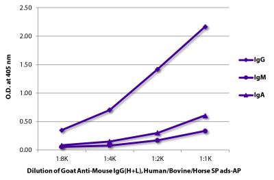 ELISA plate was coated with purified mouse IgG, IgM, and IgA. Immunoglobulins were detected with serially diluted Goat Anti-Mouse IgG(H+L), Human/Bovine/Horse SP ads-AP (SB Cat. No. 1037-04).