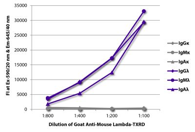 FLISA plate was coated with purified mouse IgGκ, IgMκ, IgAκ, IgGλ, IgMλ, and IgAλ. Immunoglobulins were detected with serially diluted Goat Anti-Mouse Lambda-TXRD (SB Cat. No. 1060-07).