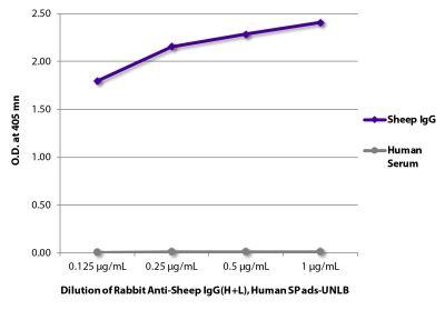 ELISA plate was coated with purified sheep IgG and human serum. Immunoglobulin and serum were detected with Rabbit Anti-Sheep IgG(H+L), Human SP ads-UNLB (SB Cat. No. 6156-01) followed by Goat Anti-Rabbit IgG(H+L), Mouse/Human ads-HRP (SB Cat. No. 4050-05).