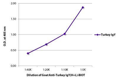 ELISA plate was coated with purified turkey IgY. Immunoglobulin was detected with Goat Anti-Turkey IgY(H+L)-BIOT (SB Cat. No. 6110-08) followed by Streptavidin-HRP (SB Cat. No. 7100-05).