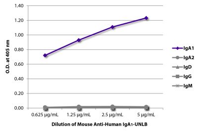 ELISA plate was coated with purified human IgA<sub>1</sub>, IgA<sub>2</sub>, IgD, IgG, and IgM. Immunoglobulins were detected with serially diluted Mouse Anti-Human IgA<sub>1</sub>-UNLB (SB Cat. No. 9130-01) followed by Goat Anti-Mouse IgG<sub>1</sub>, Human ads-HRP (SB Cat. No. 1070-05).