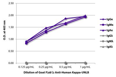 ELISA plate was coated with purified human IgGκ, IgMκ, IgAκ, IgGλ, IgMλ, and IgAλ. Immunoglobulins were detected with serially diluted Goat F(ab')<sub>2</sub> Anti-Human Kappa-UNLB (SB Cat. No. 2062-01) followed by Swine Anti-Goat IgG(H+L), Human/Rat/ Mouse SP ads-HRP (SB Cat. No. 6300-05).