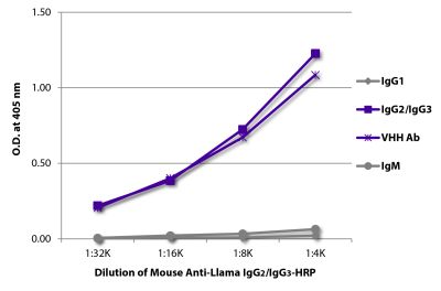 ELISA plate was coated with purified llama IgG<sub>1</sub>, IgG<sub>2</sub>/IgG<sub>3</sub>, IgM, and a VHH antibody. Immunoglobulins were detected with Mouse Anti-Llama IgG<sub>2</sub>/IgG<sub>3</sub>-HRP (SB Cat. No. 5880-05).