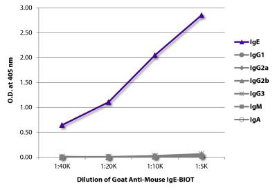 ELISA plate was coated with purified mouse IgE, IgG<sub>1</sub>, IgG<sub>2a</sub>, IgG<sub>2b</sub>, IgG<sub>3</sub>, IgM, and IgA. Immunoglobulins were detected with serially diluted Goat Anti-Mouse IgE-BIOT (SB Cat. No. 1110-08) followed by Streptavidin-HRP (SB Cat. No. 7100-05).