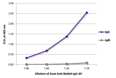 ELISA plate was coated with purified rabbit IgG and IgM. Immunoglobulins were detected with serially diluted Goat Anti-Rabbit IgG-AP (SB Cat. No. 4030-04).