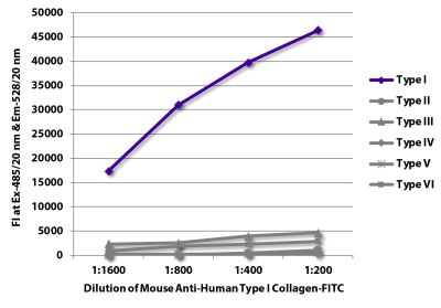 FLISA plate was coated with purified type I, II, III, IV, V, and VI collagen standards. Collagen was detected with serially diluted Mouse Anti-Human Type I Collagen-FITC (SB Cat. No. 1441-02).