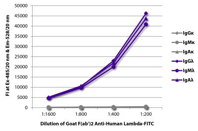 FLISA plate was coated with purified human IgGκ, IgMκ, IgAκ, IgGλ, IgMλ, and IgAλ. Immunoglobulins were detected with serially diluted Goat F(ab')<sub>2</sub> Anti-Human Lambda-FITC (SB Cat. No. 2072-02).