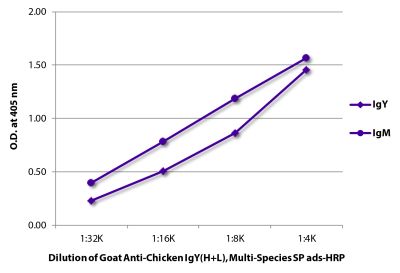 ELISA plate was coated with purified chicken IgY and IgM. Immunoglobulins were detected with Goat Anti-Chicken IgY(H+L), Multi-Species SP ads-HRP (SB Cat. No. 6105-05).