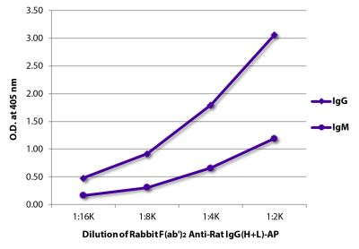 ELISA plate was coated with purified rat IgG and IgM. Immunoglobulins were detected with serially diluted Rabbit F(ab')<sub>2</sub> Anti-Rat IgG(H+L)-AP (SB Cat. No. 6130-04).