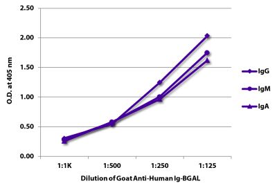 ELISA plate was coated with purified human IgG, IgM, and IgA. Immunoglobulins were detected with serially diluted Goat Anti-Human Ig-BGAL (SB Cat. No. 2010-06).