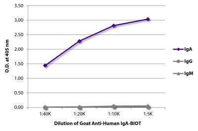 ELISA plate was coated with purified human IgA, IgG, and IgM. Immunoglobulins were detected with serially diluted Goat Anti-Human IgA-BIOT (SB Cat. No. 2050-08) followed by Streptavidin-HRP (SB Cat. No. 7100-05).