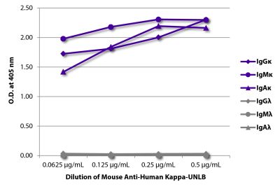 ELISA plate was coated with purified human IgGκ, IgMκ, IgAκ, IgGλ, IgMλ, and IgAλ. Immunoglobulins were detected with serially diluted Mouse Anti-Human Kappa-UNLB (SB Cat. No. 9230-01) followed by Goat Anti-Mouse IgG<sub>1</sub>, Human ads-HRP (SB Cat. No. 1070-05).