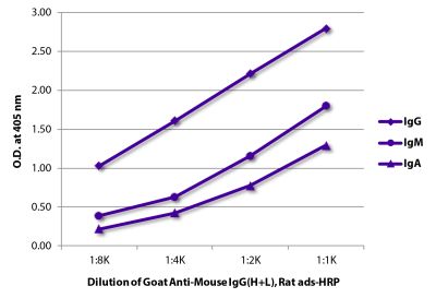 ELISA plate was coated with purified mouse IgG, IgM, and IgA. Immunoglobulins were detected with serially diluted Goat Anti-Mouse IgG(H+L), Rat ads-HRP (SB Cat. No. 1034-05).