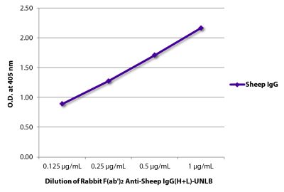 ELISA plate was coated with purified sheep IgG. Immunoglobulin was detected with Rabbit F(ab')<sub>2</sub> Anti-Sheep IgG(H+L)-UNLB (SB Cat. No. 6010-01) followed by Goat Anti-Rabbit Ig, Human ads-UNLB (SB Cat. No. 4010-05).