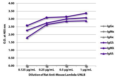 ELISA plate was coated with purified mouse IgGκ, IgMκ, IgAκ, IgGλ, IgMλ, and IgAλ. Immunoglobulins were detected with serially diluted Rat Anti-Mouse Lambda-UNLB (SB Cat. No. 1175-01) followed by Mouse Anti-Rat IgG<sub>2b</sub>-HRP (SB Cat. No. 3070-05).