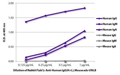 ELISA plate was coated with purified human IgG, IgM, and IgA and mouse IgG, IgM, and IgA. Immunoglobulins were detected with Rabbit F(ab')<sub>2</sub> Anti-Human IgG(H+L), Mouse ads-UNLB (SB Cat. No. 6005-01) followed by Goat Anti-Rabbit IgG-HRP (SB Cat. No. 4030-05).
