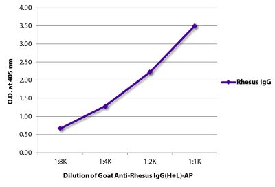 ELISA plate was coated with purified rhesus IgG. Immunoglobulin was detected with Goat Anti-Rhesus IgG(H+L)-AP (SB Cat. No. 6200-04).