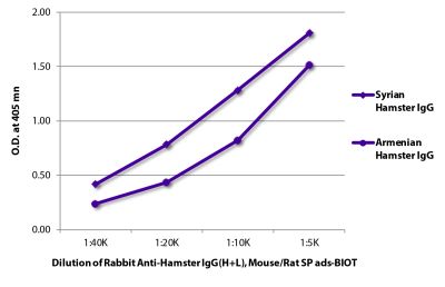 ELISA plate was coated with purified Syrian hamster IgG and Armenian hamster IgG. Immunoglobulins were detected with Rabbit Anti-Hamster IgG(H+L), Mouse/Rat SP ads-BIOT (SB Cat. No. 6215-08) followed by Streptavidin-HRP (SB Cat. No. 7100-05).