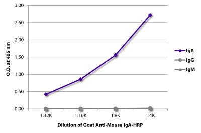 ELISA plate was coated with purified mouse IgA, IgG, and IgM. Immunoglobulins were detected with serially diluted Goat Anti-Mouse IgA-HRP (SB Cat. No. 1040-05).