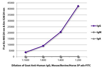 FLISA plate was coated with purified human IgG, IgM, and IgA. Immunoglobulins were detected with serially diluted Goat Anti-Human IgG, Mouse/Bovine/Horse SP ads-FITC (SB Cat. No. 2045-02).