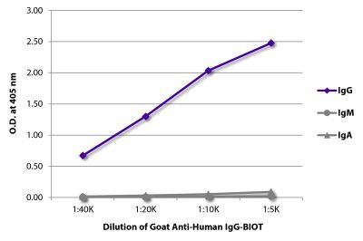 ELISA plate was coated with purified human IgG, IgM, and IgA. Immunoglobulins were detected with serially diluted Goat Anti-Human IgG-BIOT (SB Cat. No. 2040-08) followed by Streptavidin-HRP (SB Cat. No. 7100-05).