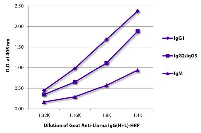 ELISA plate was coated with purified llama IgG<sub>1</sub>, IgG<sub>2</sub>/IgG<sub>3</sub>, and IgM. Immunoglobulins were detected with Goat Anti-Llama IgG(H+L)-HRP (SB Cat. No. 6045-05).