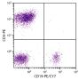Human peripheral blood lymphocytes were stained with Mouse Anti-Human CD19-PE/CY7 (SB Cat. No. 9340-17) and Mouse Anti-Human CD3-PE (SB Cat. No. 9515-09).