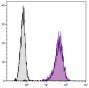 Human histiocytic lymphoma cell line U-937 was stained with Mouse Anti-Human CD71-PE (SB Cat. No. 9670-09).