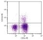 BALB/c mouse mesenteric lymph node cells were stained with Hamster Anti-Mouse CD103-PE (SB Cat. No. 1810-09) and Rat Anti-Mouse CD3ε-FITC (SB Cat. No. 1535-02).