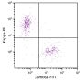 CD19+ human B-lymphocytes were stained with Goat F(ab')<sub>2</sub> Anti-Human Lambda, Mouse ads-FITC (SB Cat. 2073-02) and Goat F(ab')<sub>2</sub> Anti-Human Kappa-PE (SB Cat. No. 2062-09).